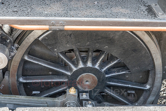 AE5D3518.jpg