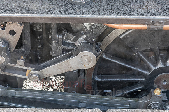 AE5D3519.jpg