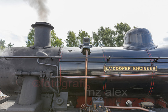 AE5D3520.jpg
