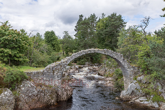 AE5D3559-HDR.jpg