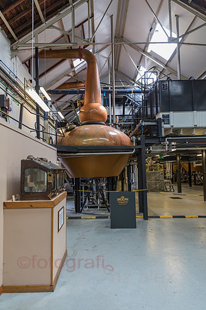 AE5D3643.jpg