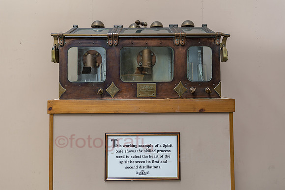 AE5D3648.jpg