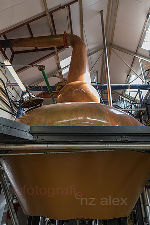 AE5D3649.jpg