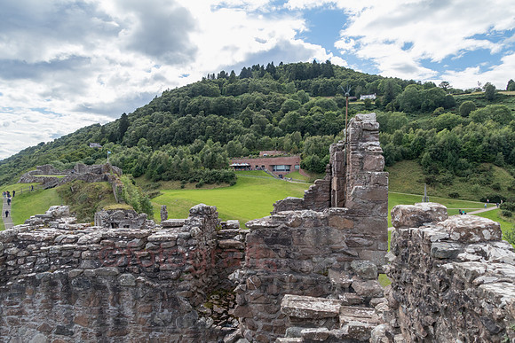 IMG_1667.jpg