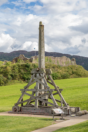 AE5D3829.jpg