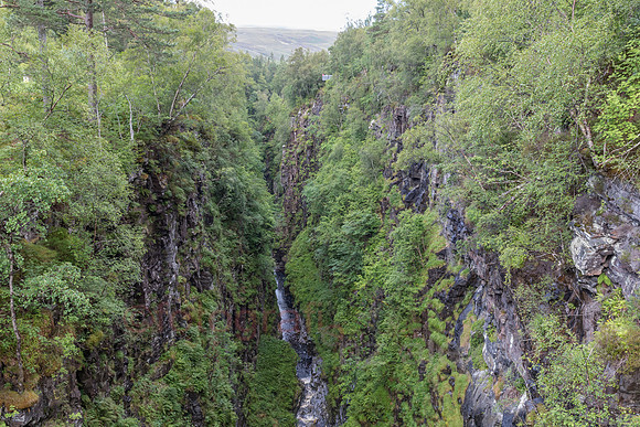 AE5D3857.jpg