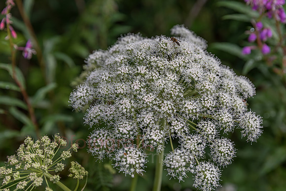AE5D3859.jpg