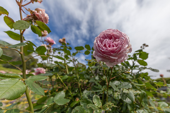 AE5D3988.jpg