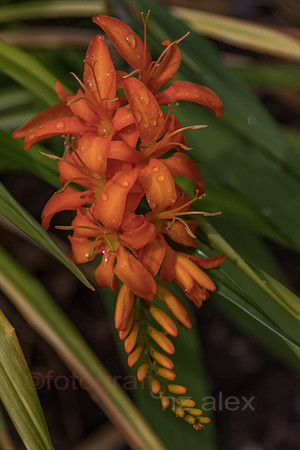 AE5D4037.jpg