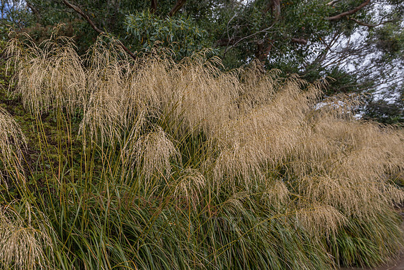 AE5D4045.jpg