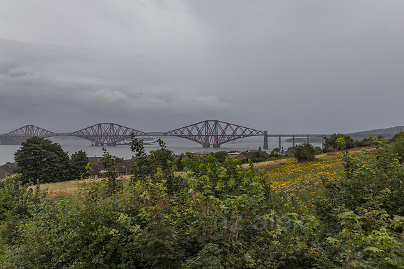 AE5D4225.jpg