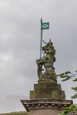 AE5D4278.jpg
