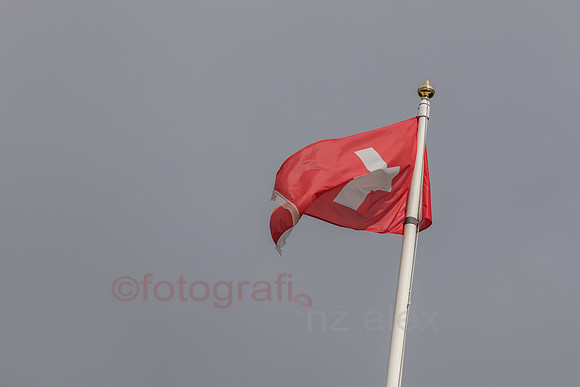 AE5D4287.jpg