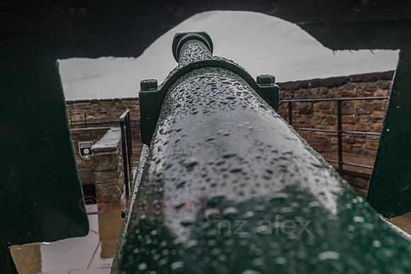 AE5D4295.jpg