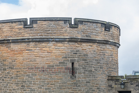 AE5D4335.jpg