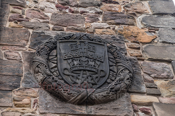 AE5D4342.jpg