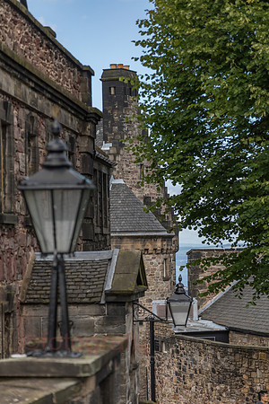 AE5D4378.jpg