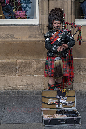 AE5D4420.jpg