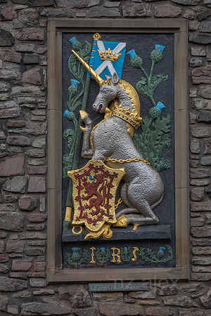 AE5D4265.jpg