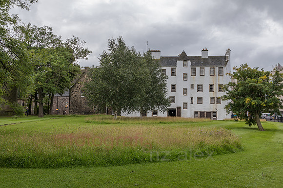 AE5D4271.jpg