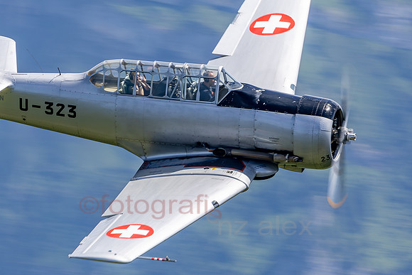AER35897.jpg