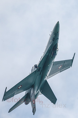 DI0R6487.jpg