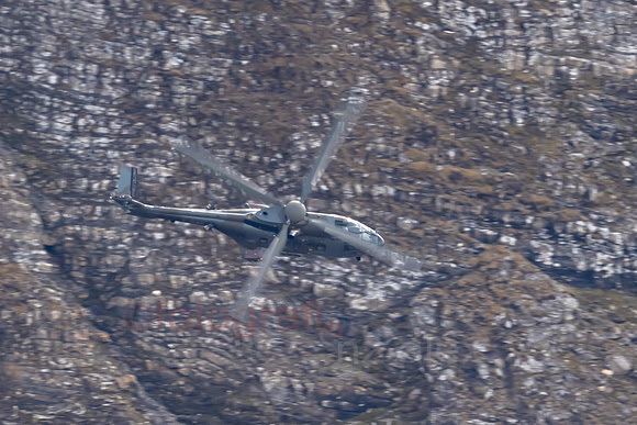 AER_5656.jpg