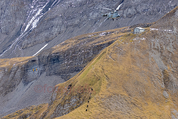 AER_5894.jpg