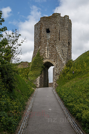 DI0R4406.jpg