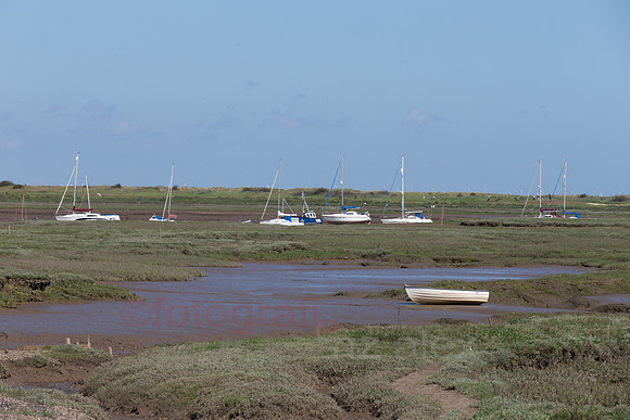 DI0R7088.jpg