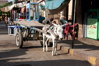 Edfu