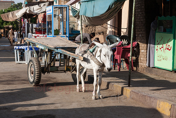 _MG_0014.jpg