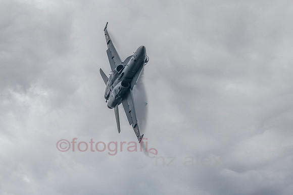 AER34709.jpg