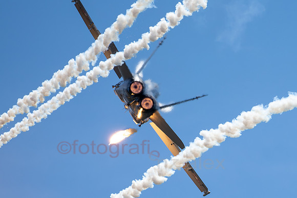 AER39171-2.jpg