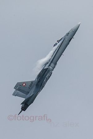DI0R6207.jpg