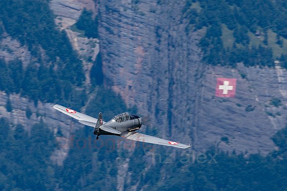 AER35898.jpg