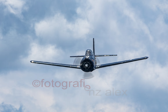 AER35730.jpg